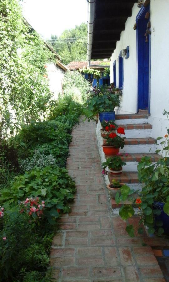 Villa Casa Anca Cheile Nerei Sokolar Exterior foto